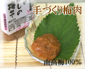 和歌山特産品　南高梅１００％梅肉